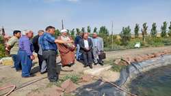 بازدید بازرس کل استان خراسان رضوی از یک مزرعه پرورش ماهی و نشست با کشاورزان
