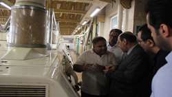 بازدید بازرس‌کل هرمزگان از کارخانه آرد مروارید هرمزگان