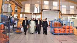 بازدید بازرس‌کل استان قم از واحد تولیدی صدرا نگین پاسارگاد/ تأکید طالبی بر ارزآوری و توسعه صادرات