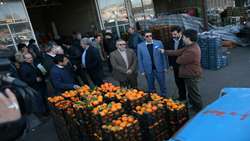 بازدید بازرس کل زنجان از میادین میوه و تره‌بار استان