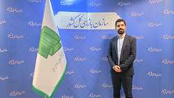 جشنواره شفافیت ابزاری کارآمد برای افزایش اعتماد عمومی است