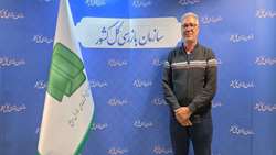 جشنواره شفافیت اقدامی مؤثر در ارتقای پاسخ‌گویی دستگاه‌های اجرایی است