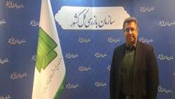 جشنواره شفافیت دستگاه‌ها را به سمت پاسخگویی و شفافیت بیشتر سوق می‌دهد