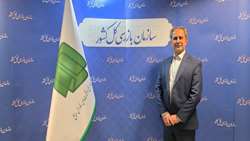 جشنواره ارتقای شفافیت یک حرکت همدلانه و ملی است