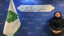 جشنواره شفافیت الگویی راهنما برای سایر دستگاه‌ها ایجاد می‌کند