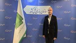 جشنواره شفافیت به نهادینه‌سازی فرهنگ پاسخگویی مبتنی بر داده کمک می‌کند