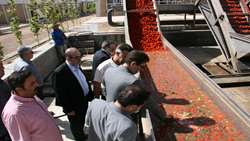 بازدید بازرس‌کل زنجان از شرکت تولیدی مشکات